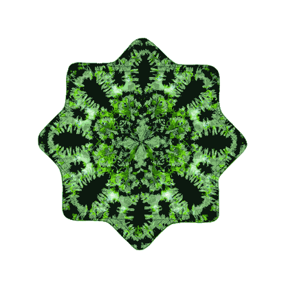 Unique 002